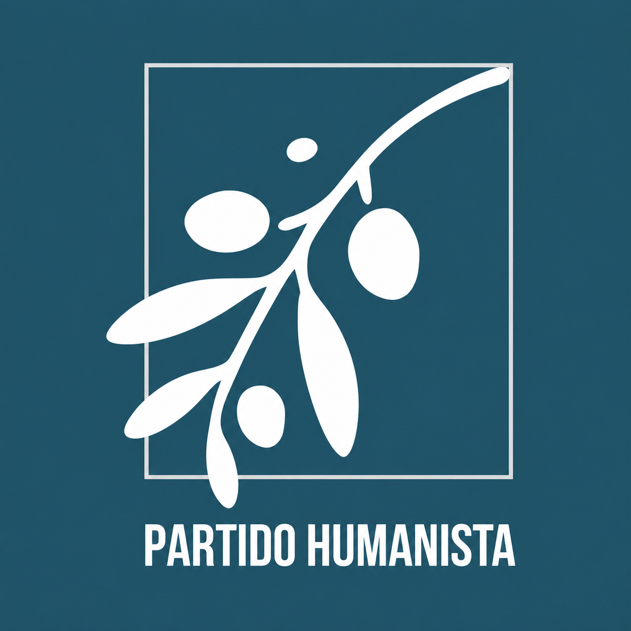 Imagen complementaria